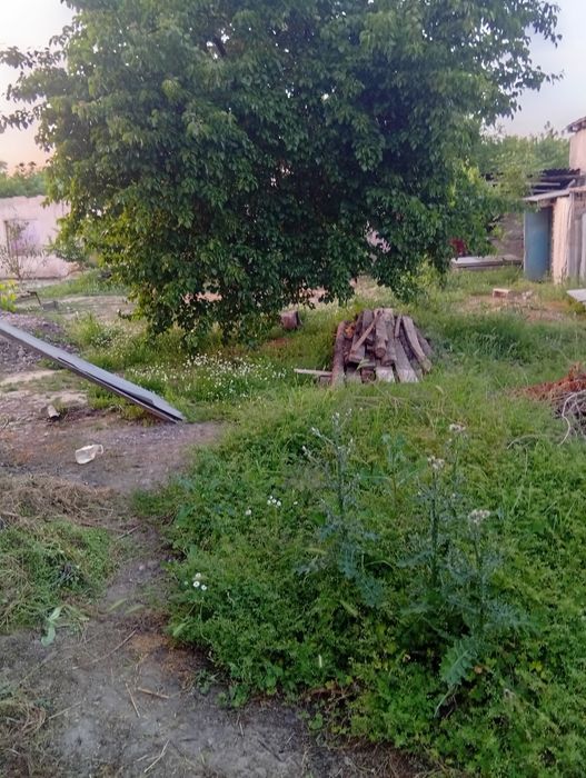 Ер сотилади сайхунобод цетирда Эски Ленин куси сутиги 2500 ₽