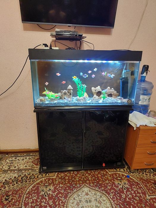 Akvarium hamma narsalari bilan sotiladi