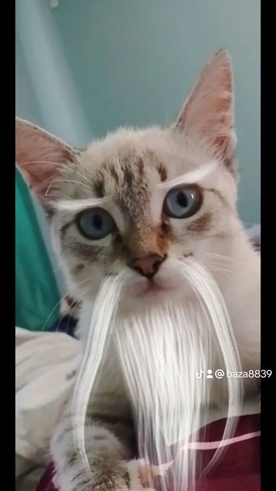 Нежная малышка ищет дом