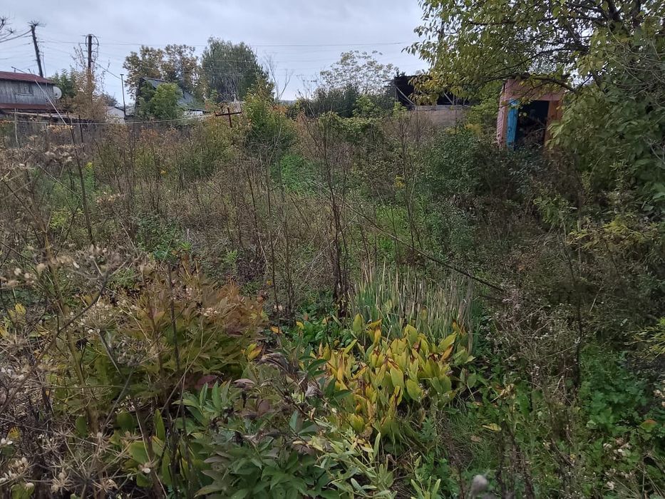 Продам дом в согре