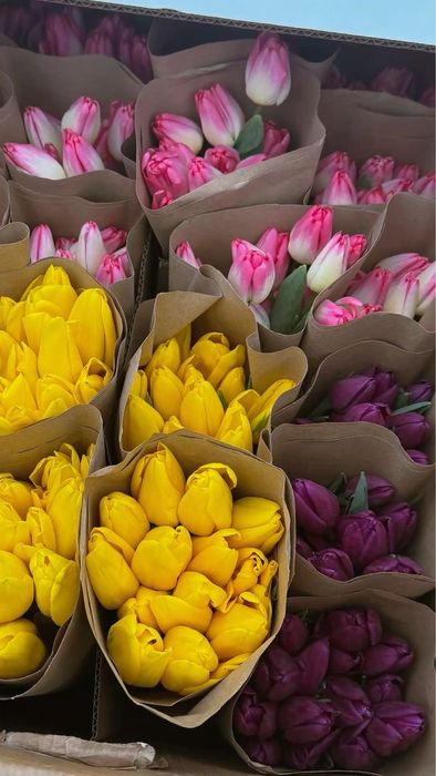 Тюльпаны Рудный 850 Предзаказ 8 марта