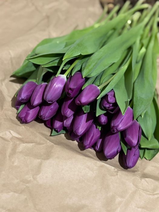 Тюльпаны оптом и в розницу