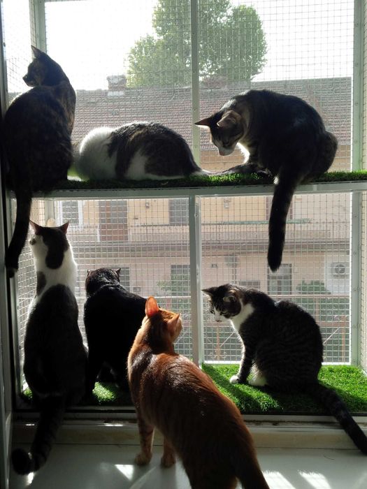 Plase metalice de protectie pentru pisici si insecte/custi/usi/balcon