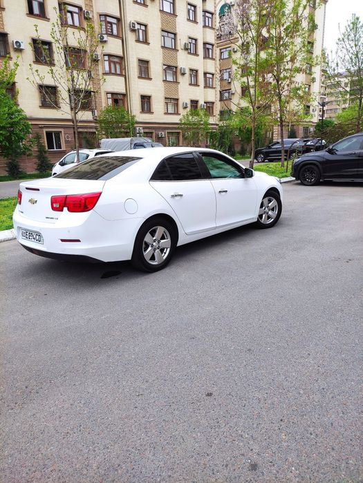 Malibu 1 Малибу Malibu