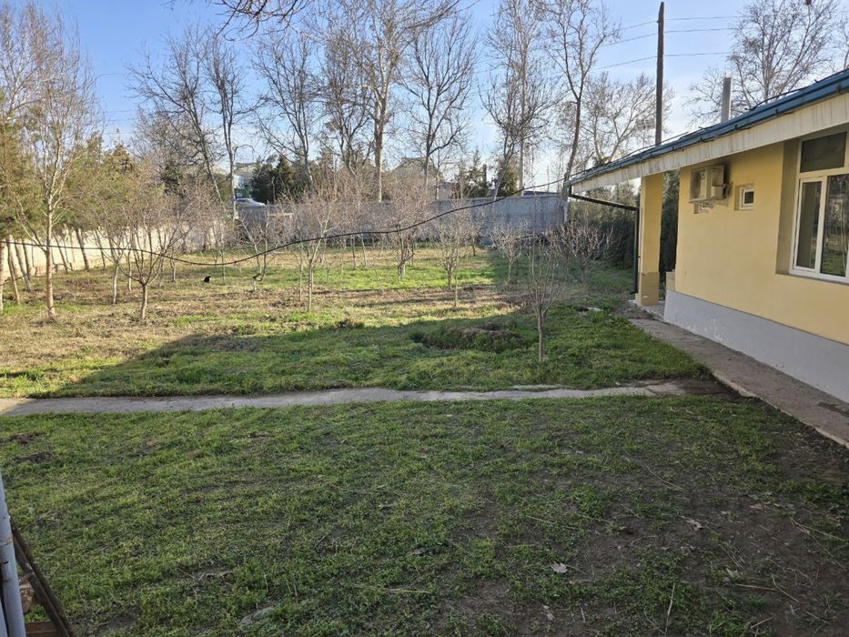 Дача паркент Дала Ховли 1 катор кочани йузида