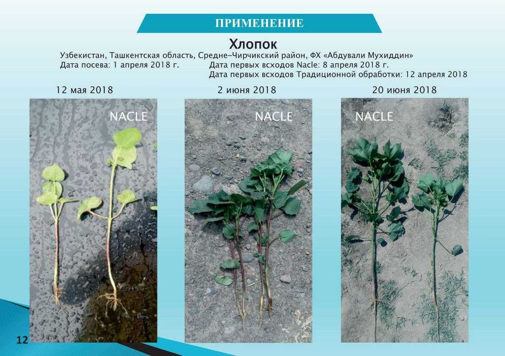 Минерал Угит Химиясиз