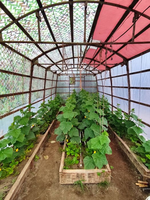 Продам дачу, 8 соток
