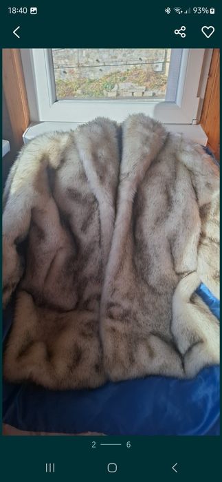 Haina blana vulpe argintie