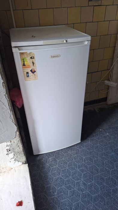 Xaladelnik sotiladi xollari zur