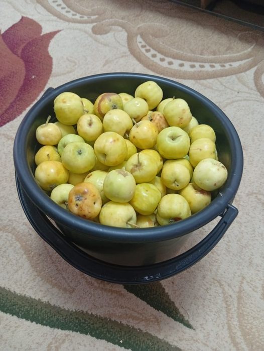 Яблочки на компот