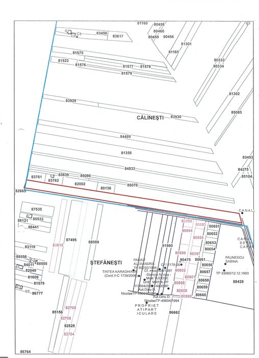 De Vânzare Teren (Intravilan (5000 m2) Extravilan (5000 m2)) Zona (Ciocănești/Golești) Argeș