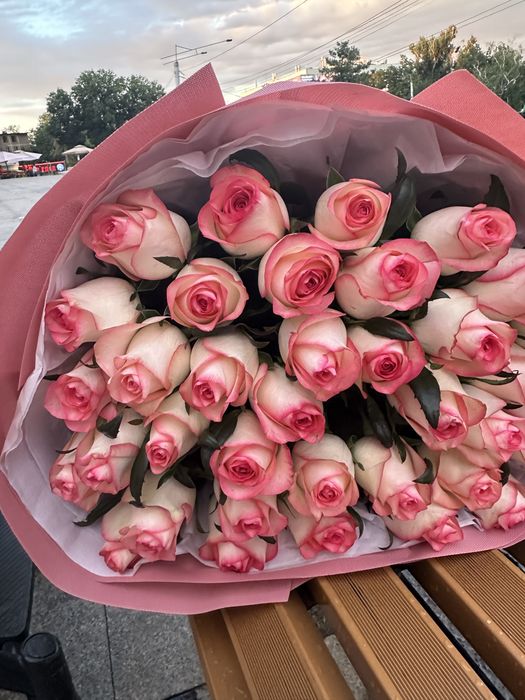 Цветы роза 31 свежие