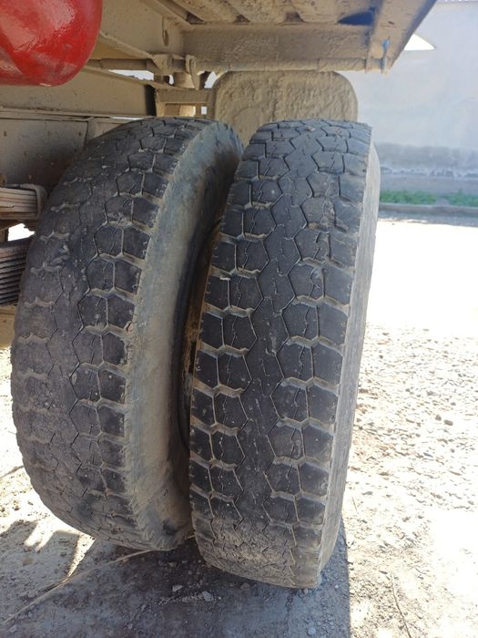 Zil balon 260 diskadi bilan