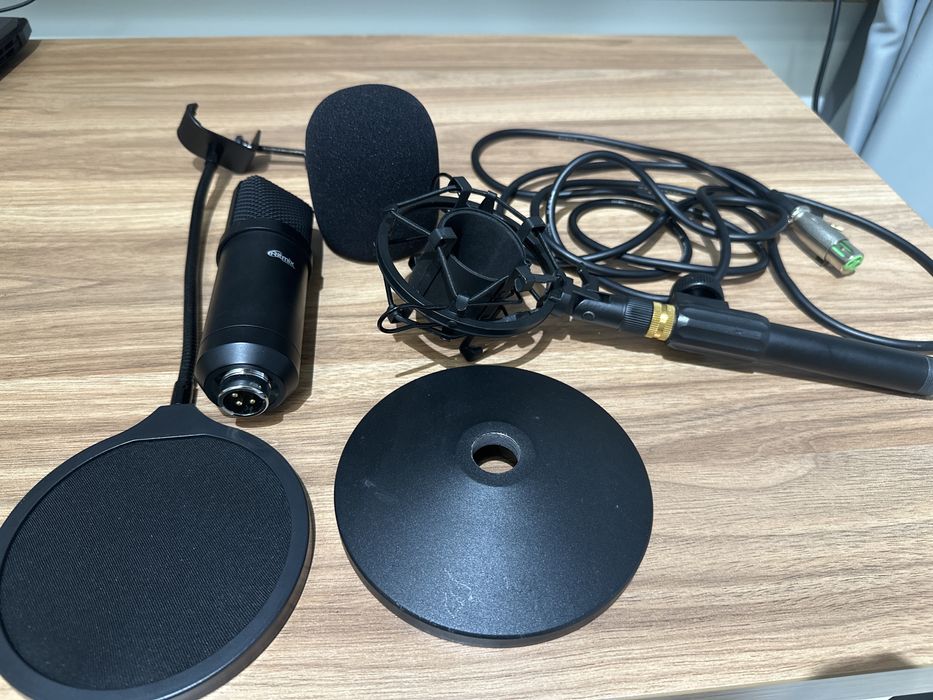 Микрофон Ritmix. Микрофон Ritmix rdm - 175