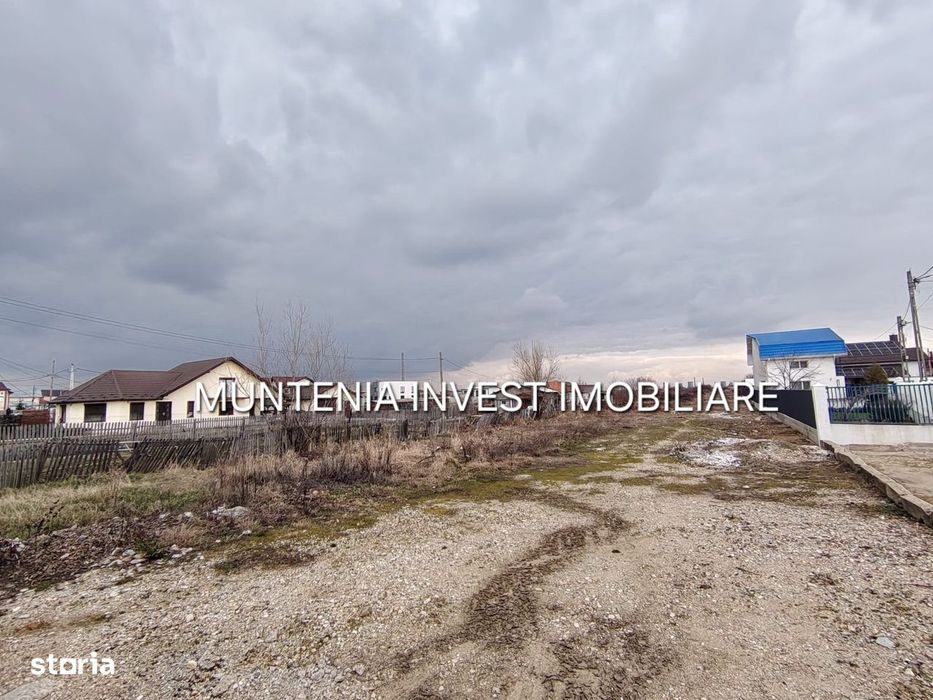 Oferta! pretabil investitie! Teren 7000 mp. Bradu, stradal