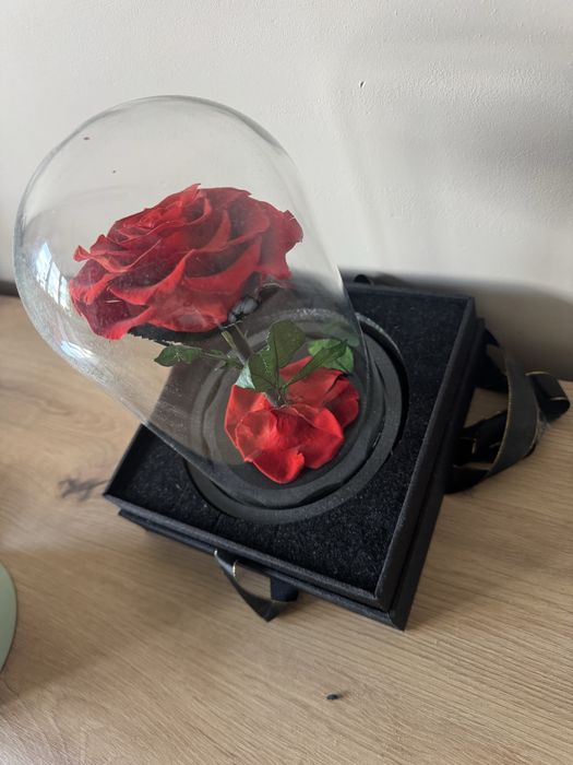 Вечна червена роза