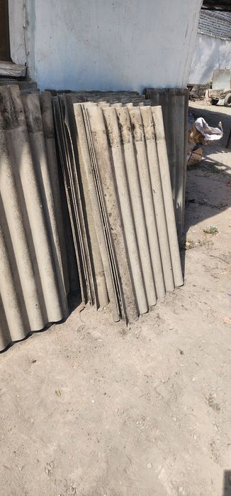 Шифер кичик ва катта волналик