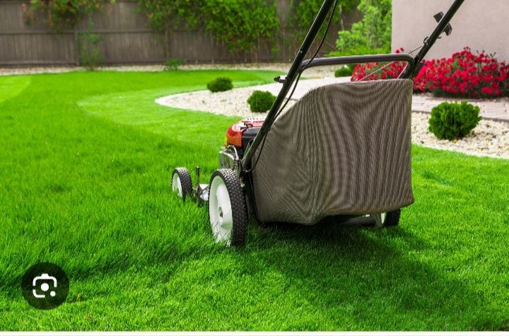 Gazon orish boyicha bizga murojat qiling