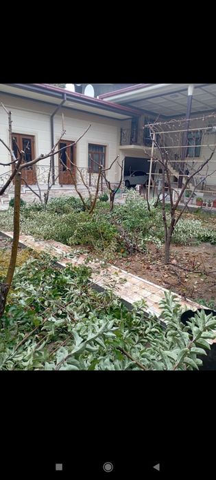 Bogʻbon sadovnik 12 -yillik agranom