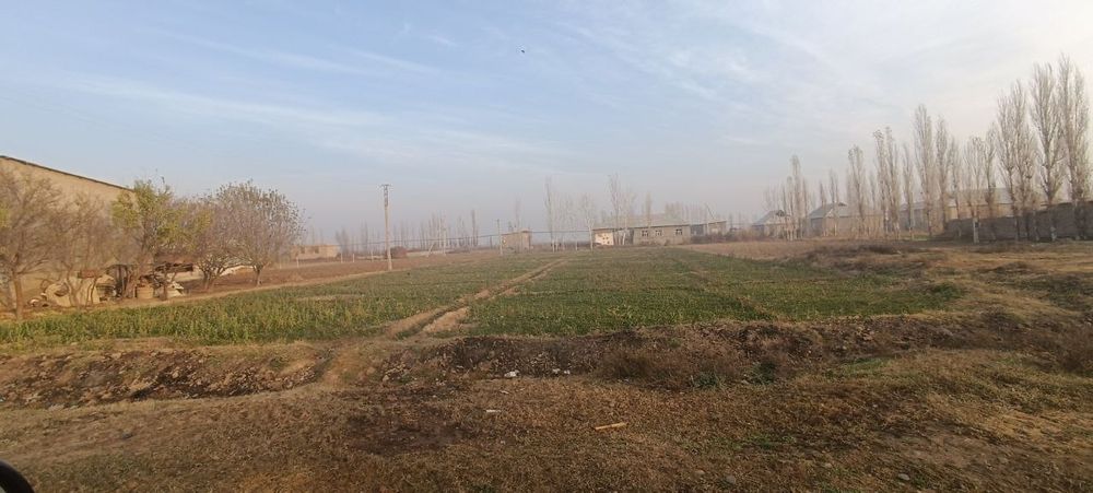 24 sotixli uchastka sotiladi