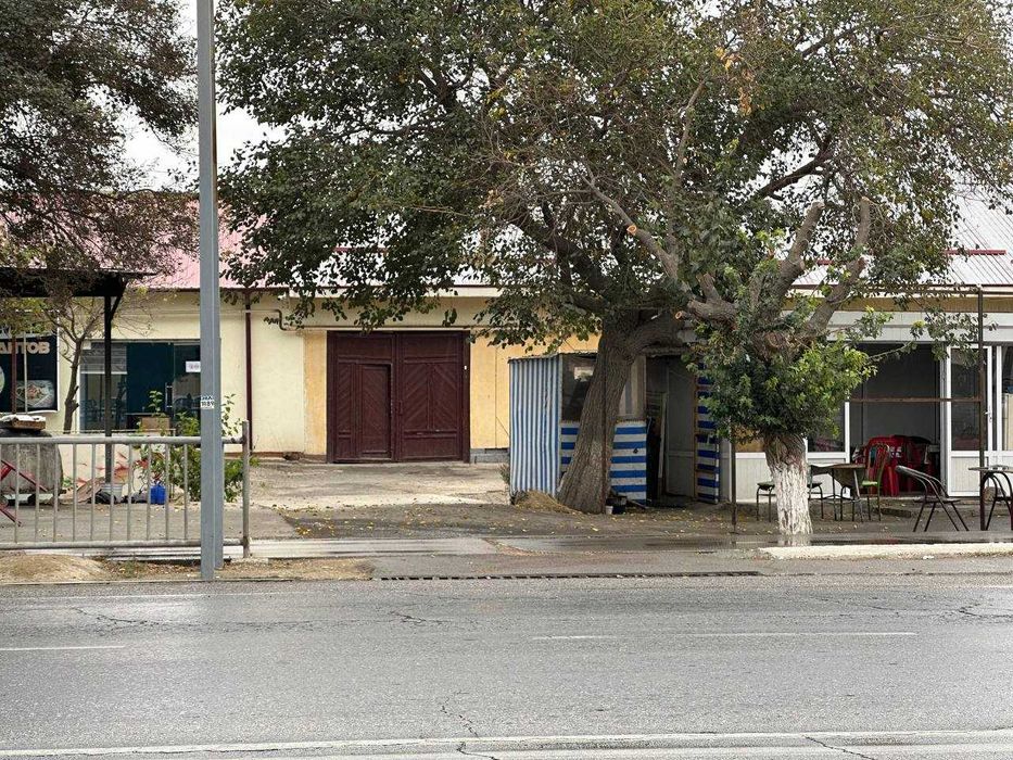 Xovli navoiy toshkent ko'chasi qirq chinor yoni yo'lni ustida