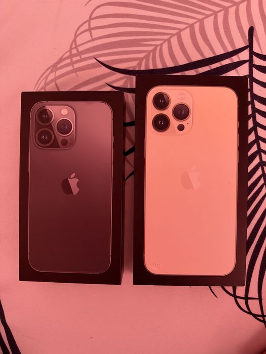 Cutie iphone 13 pro si iphone 13 pro max