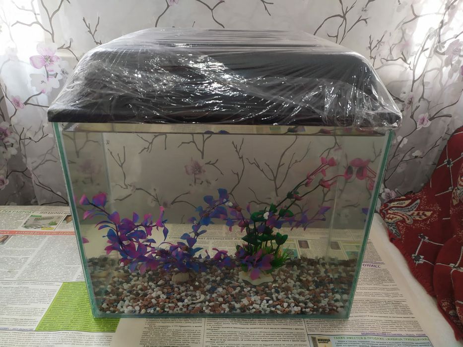 Новый аквариум + комплект и рыбки.