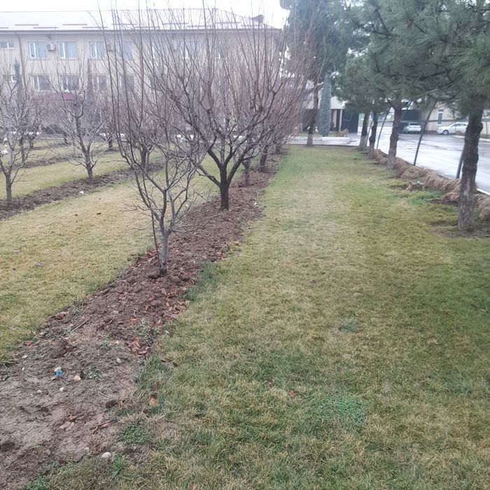 Услуги. Богбонлик ишларини киламиз. Садовник, Дворник, Уборка территор