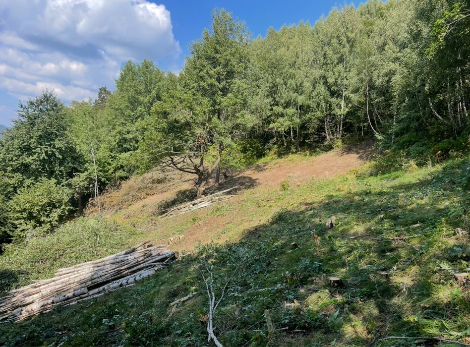 Teren Cabana, Muntele rece, Cluj, Intravilan, accept plata 2 rate