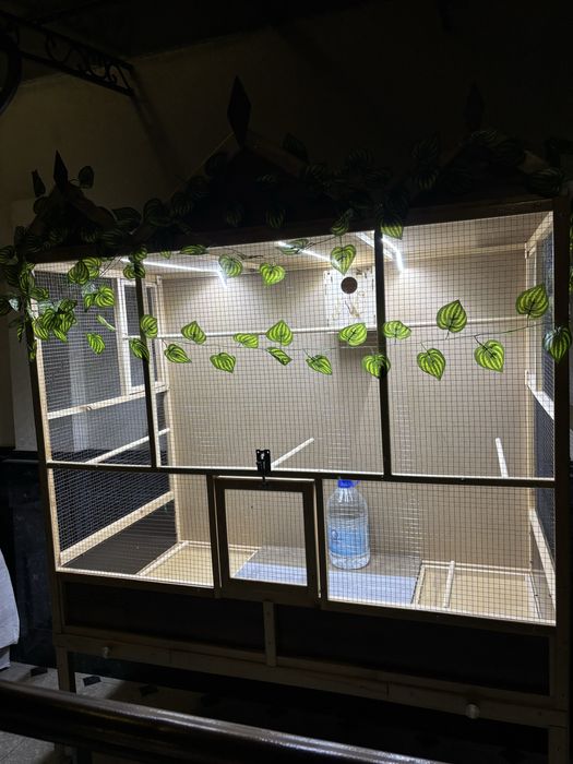 Qafaslar qushga  valer