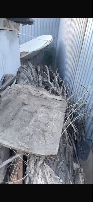 Дрова отдам даром !!!