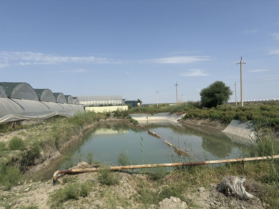 SROCHNO !!! Issiqxona sotiladi (Xitoy)