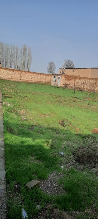 Нурафшон шахрида 8 сотихлик ер сотилади