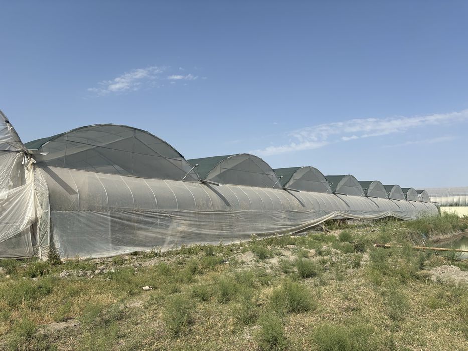 SROCHNO !!! Issiqxona sotiladi (Xitoy)