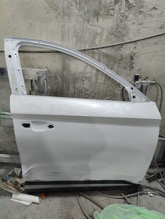 Дверь Byd Song Plus