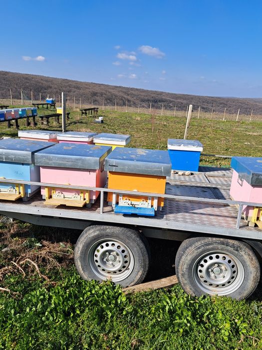 Platforma apicola pentru 40 de stupi
