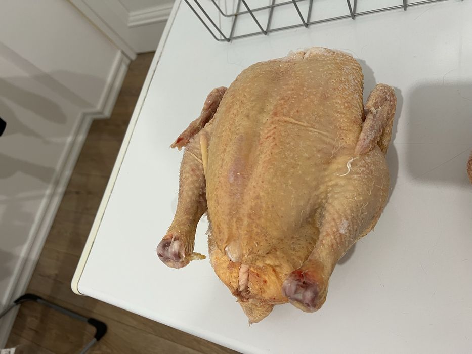Домашний бройлер без гмо