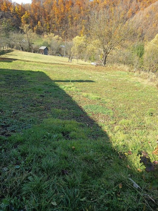Casă+teren de vânzare