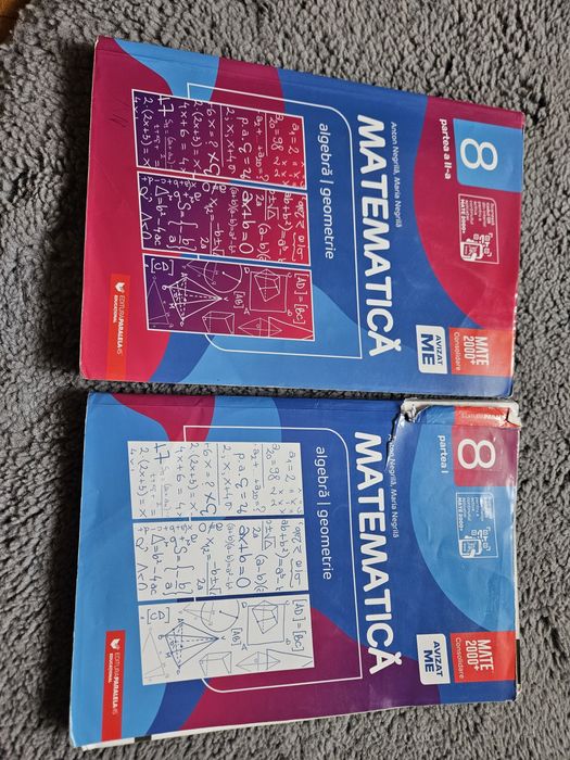 Matematica cls8 consolidare