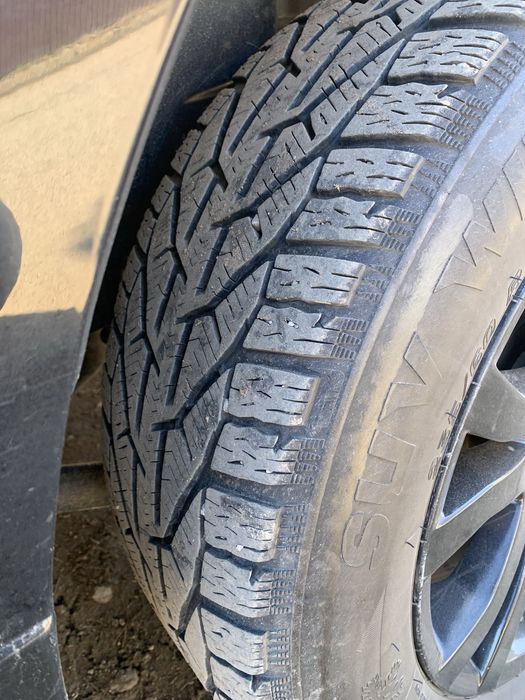 Vand anvelope(Iarna) TAURUS WINTER SUV