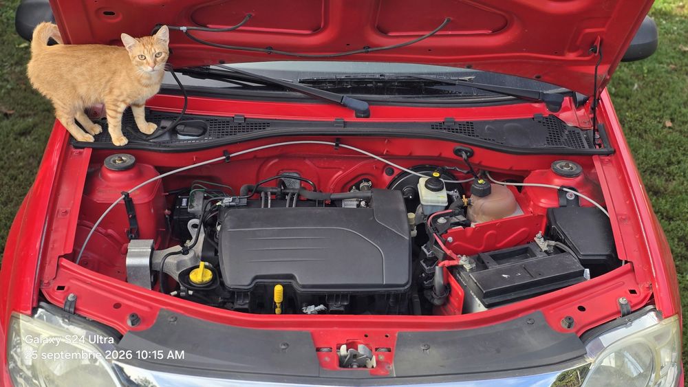 Dacia Logan Euro 5, 2010