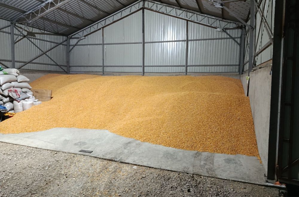 Vând Porumb uscat cu transport la domiciliu