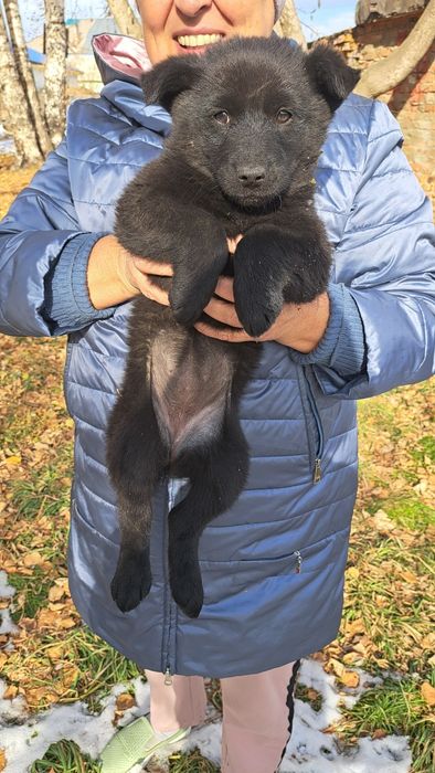 Малыши ищут себе дом