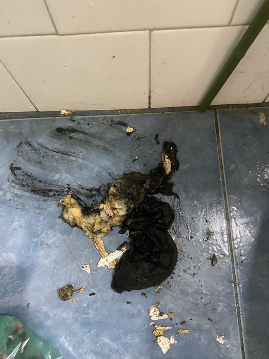 Servicii profesionale de desfundat tevi si canalizare-Timisoara