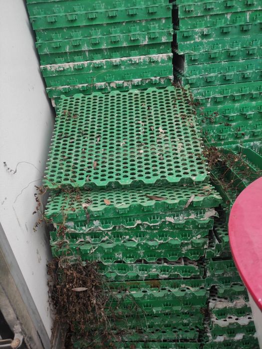 Grătare plastic pt  porci animale