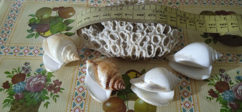 Аксессуар для аквариума цена за всё