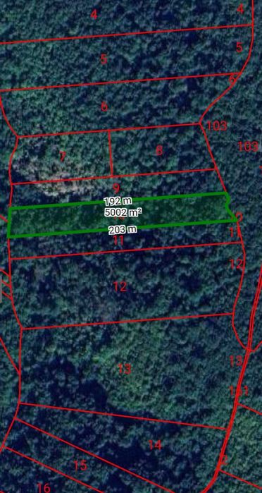 Гора 55 дка, с.Долна Бела речка, общ.Вършец