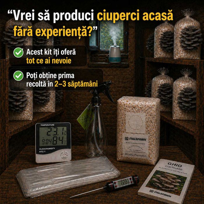 Kit complet cultivare ciuperci Pleurotus