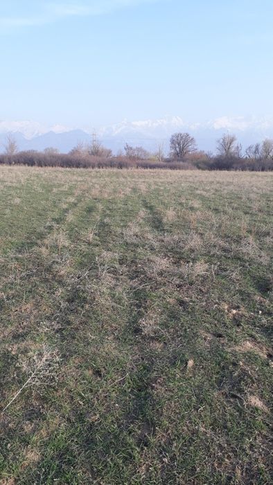 Продам участок земли кх 92 сотки частная собственность