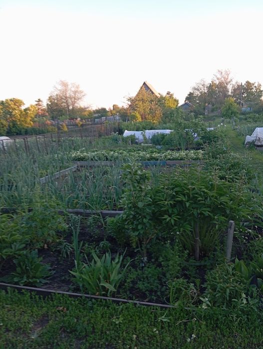 Продаётся дача. Даное общества Красный партизан